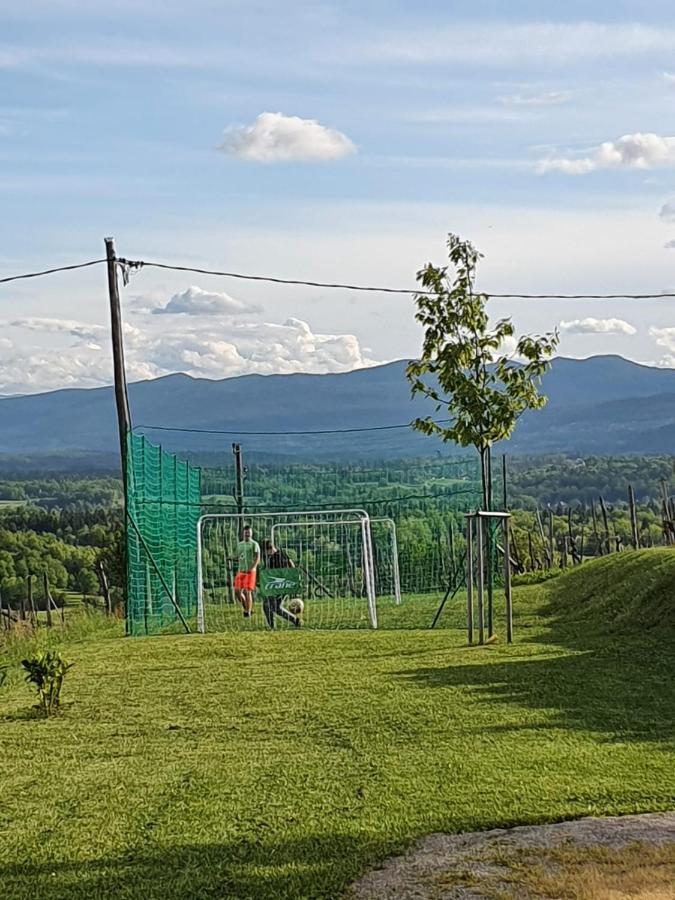 Vineyard Cottage Lan Na Hribu Semic Экстерьер фото